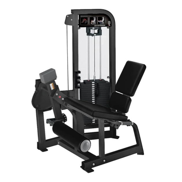 ٹانگ کی توسیع + Prone Leg Curl